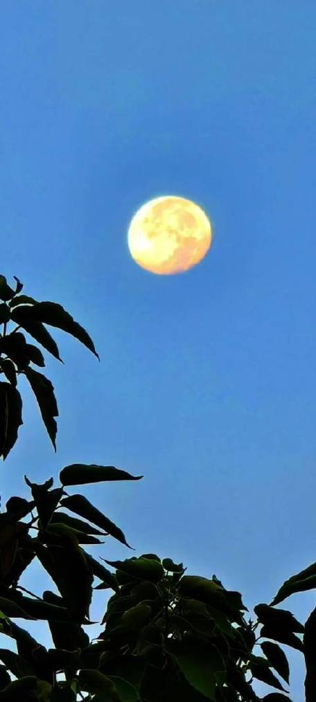 什么手机拍照最清晰,能拍月亮图2