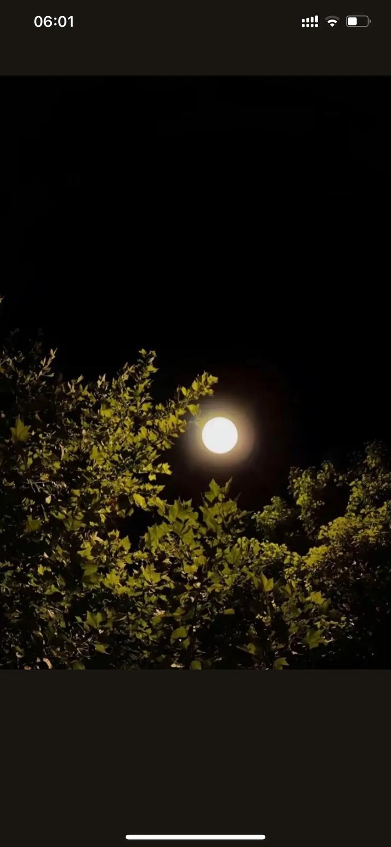 可以拍月亮的手机推荐