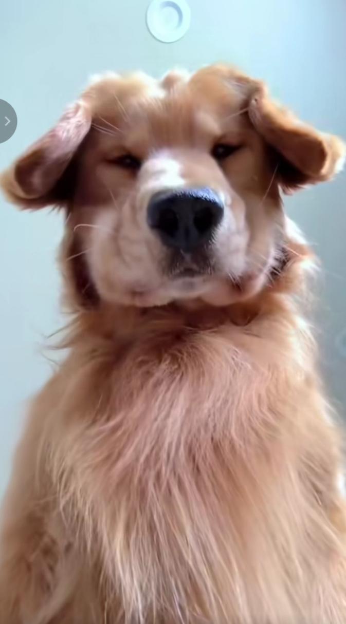 死亡角度是什么意思?