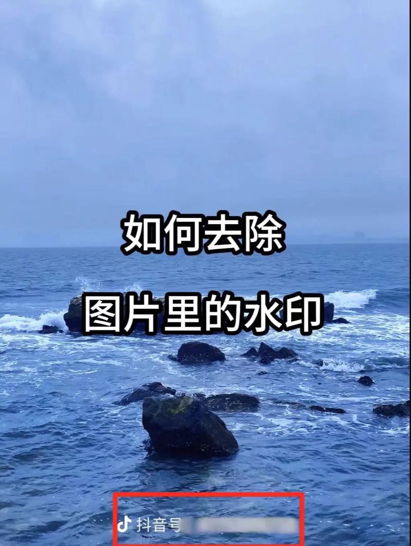 今日水印相机同步团队的照片能删除吗图3