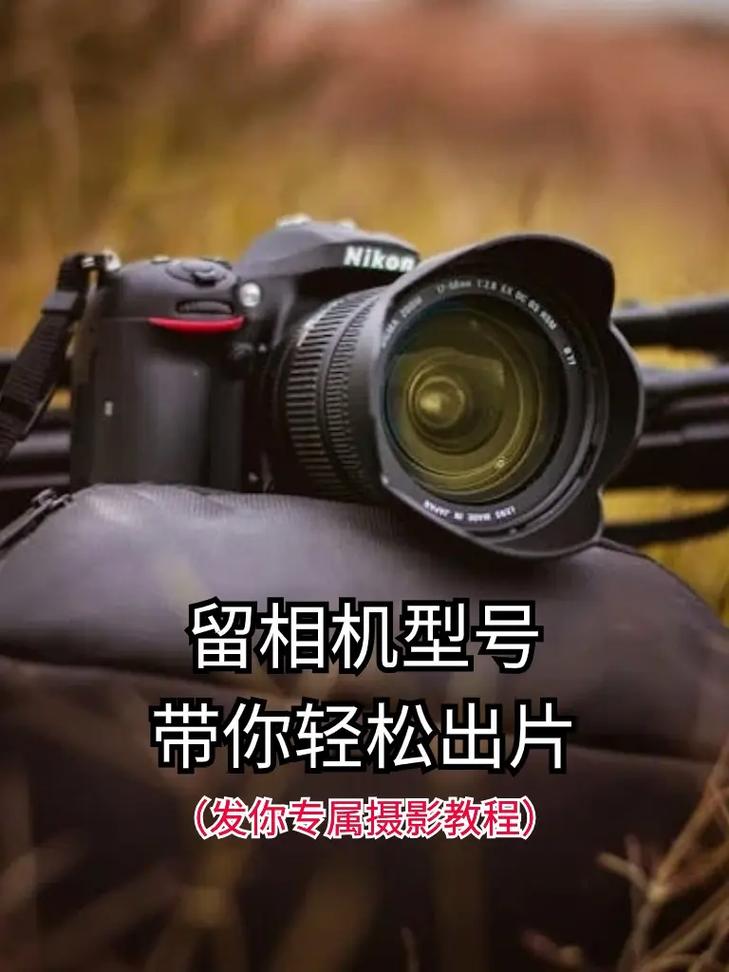 拍照如何选好角度图2