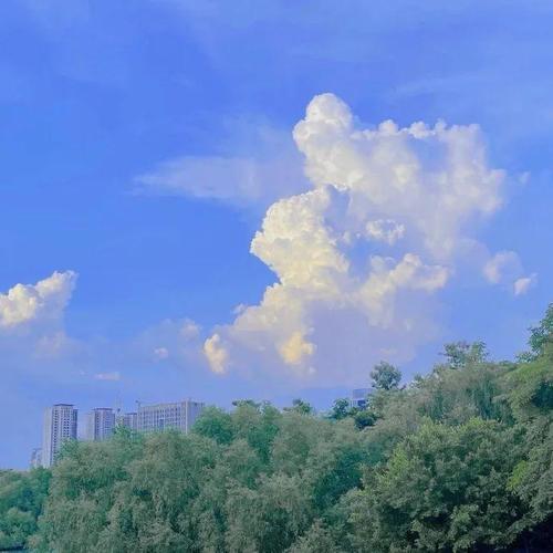 紫色背景图片ins风图2