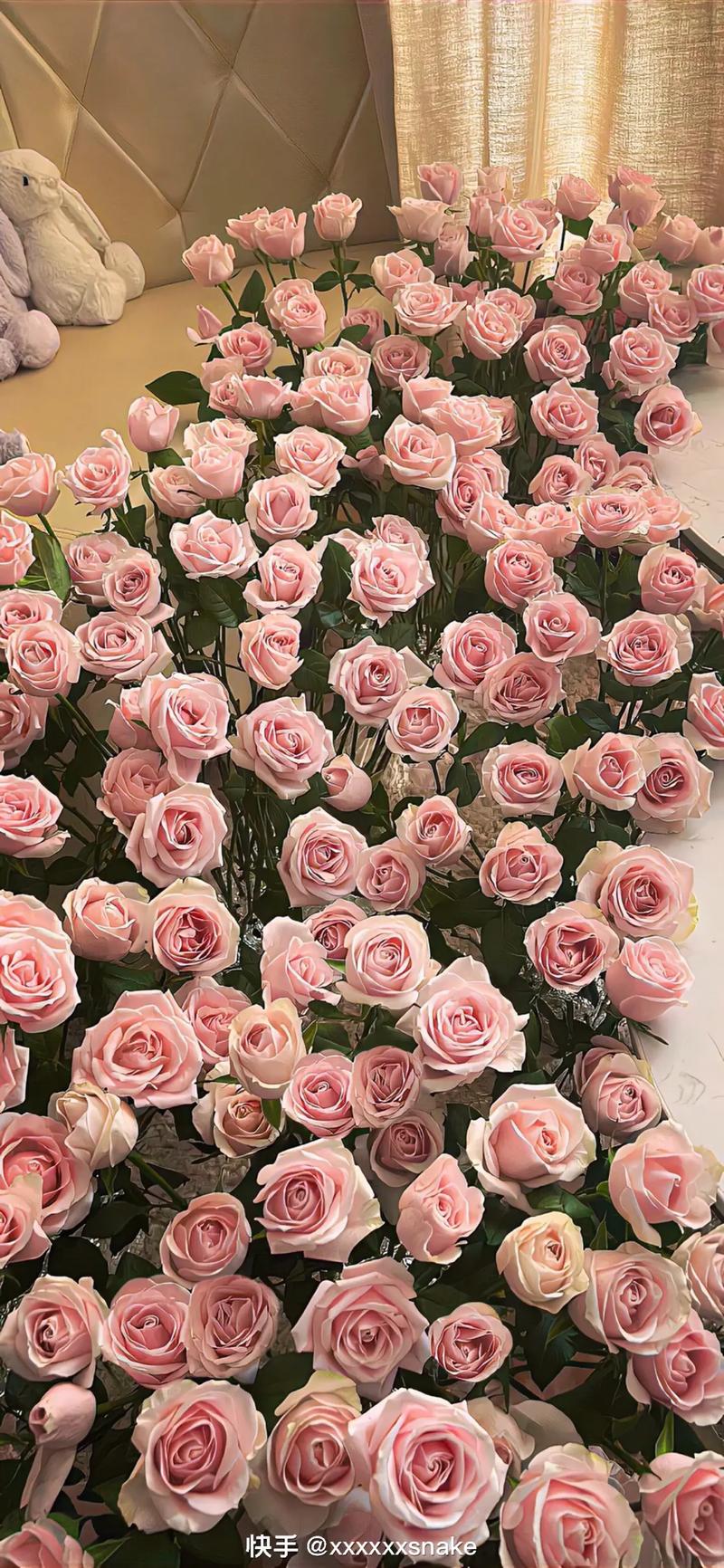 盘点那些ins鲜花背景图|极致浪漫且高级