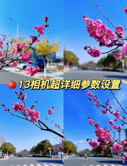 苹果13照相机怎么调图3