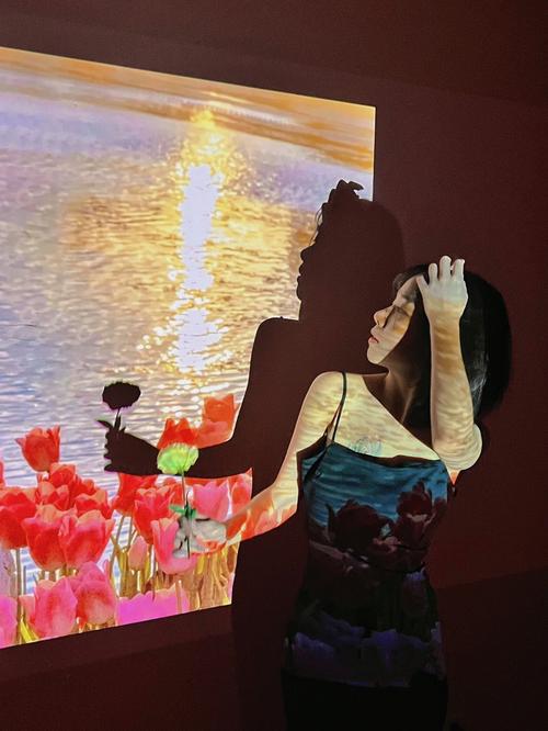 投影仪怎么弄背景