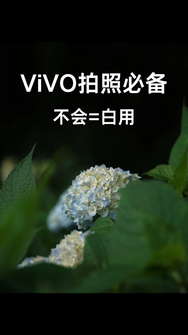 手机摄像头能不能代替单反相机?