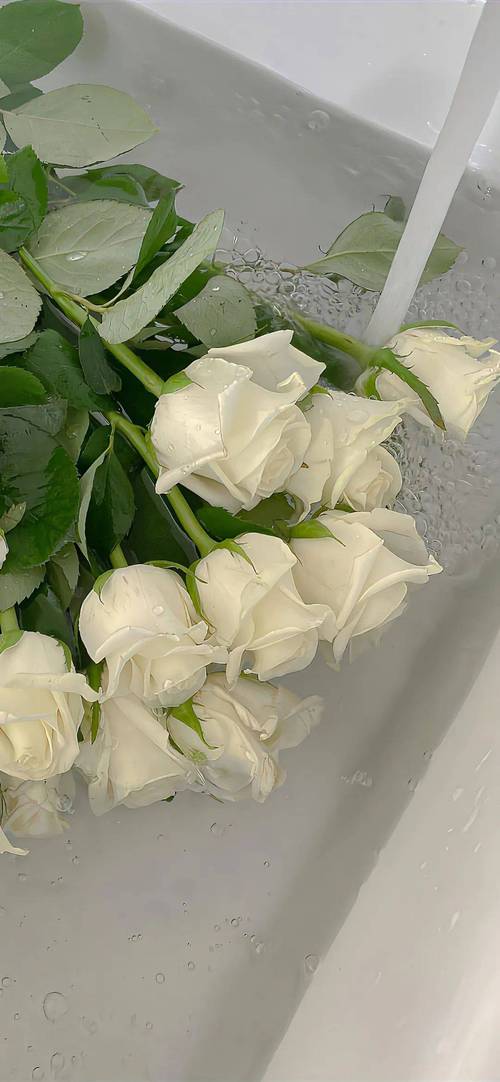 求该聊天背景图的高清大图