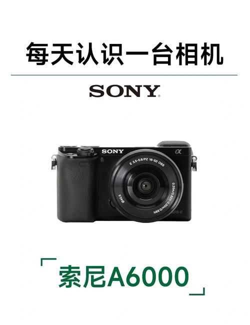 拍照手机哪个效果最好且便宜图2