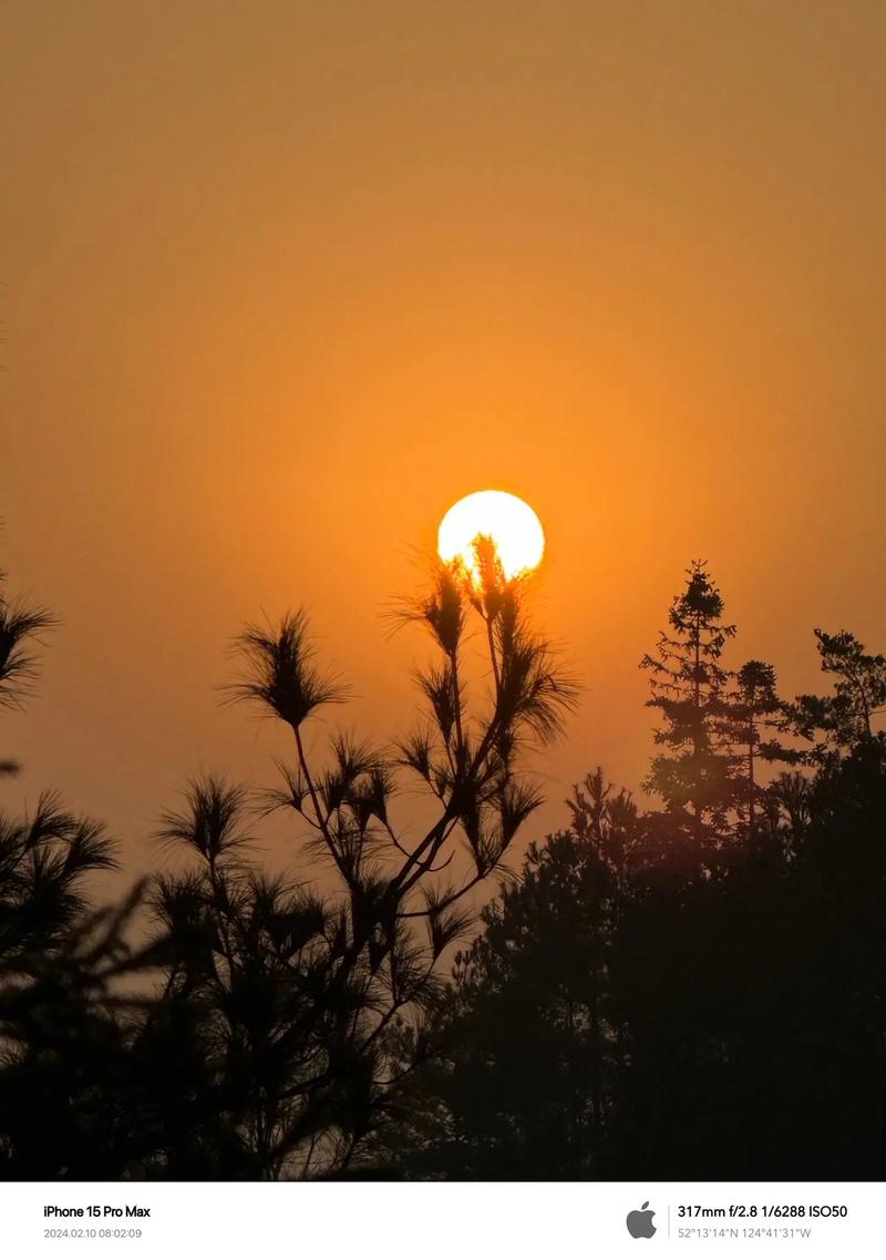 iphone拍照最好看的手机是哪一款图3