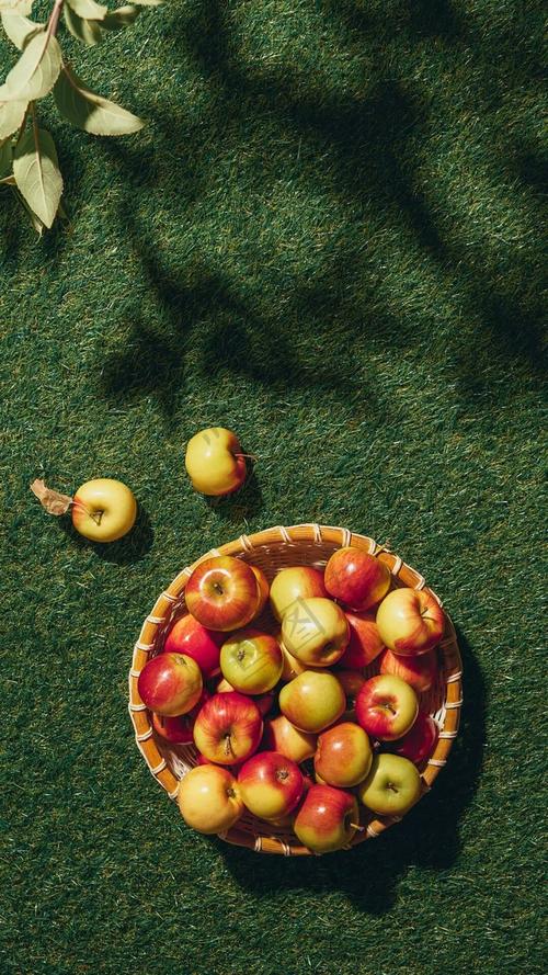 苹果公认拍照最好的手机