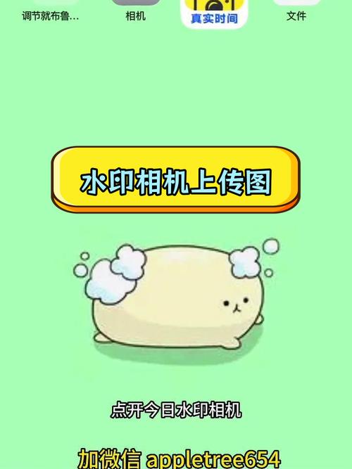 如何把今日水印相机的水印编辑到照片上面图3