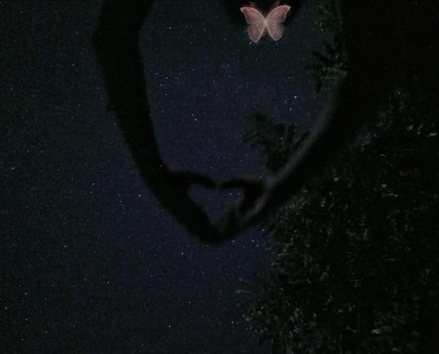 华为手机拍摄教程图2