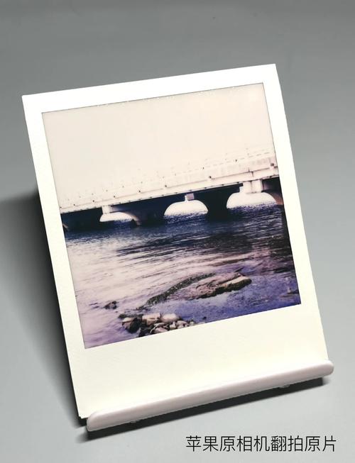 翻拍老照片用相机好还是扫描仪好图2