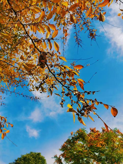 一千多的手机拍照最好的