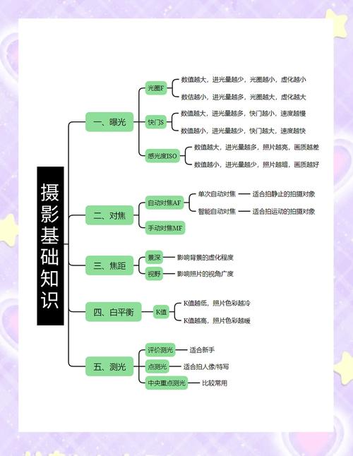 小白入手摄影,应该从哪里学起?