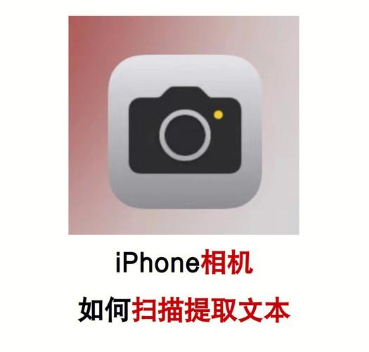 ios15相机怎么提取文字?ios15相机提取文字方法教程
