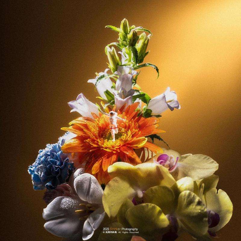 路边的花花草草,如何拍出高级感