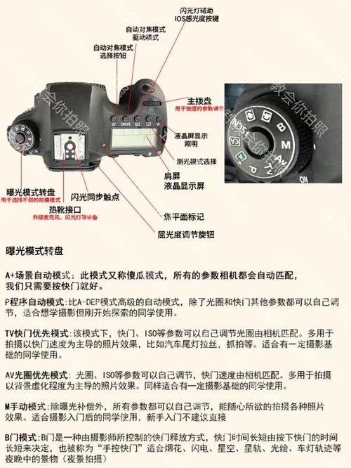 佳能相机新手模式