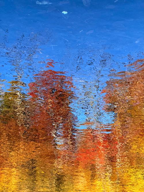 目前哪款手机照相效果最好