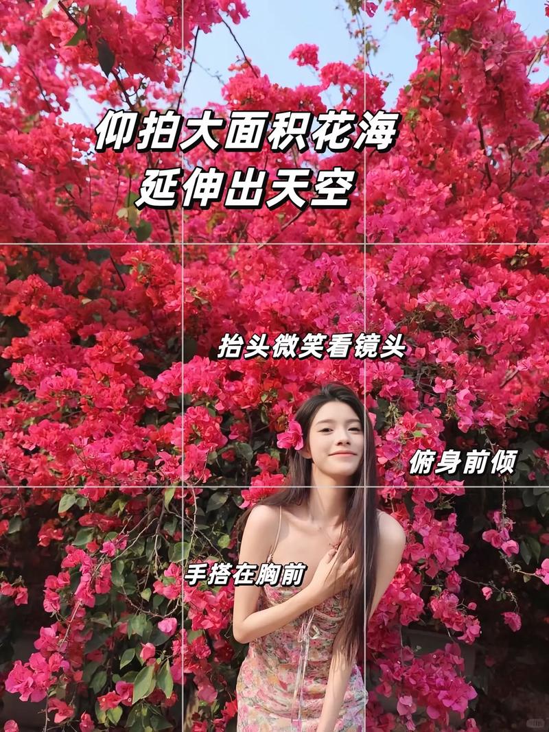 怎么把花拍的好看