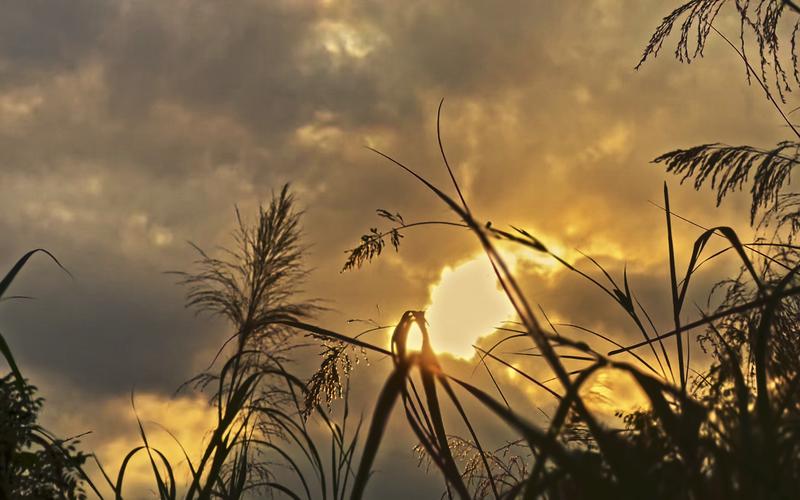 苹果手机拍视频4k好还是高清好