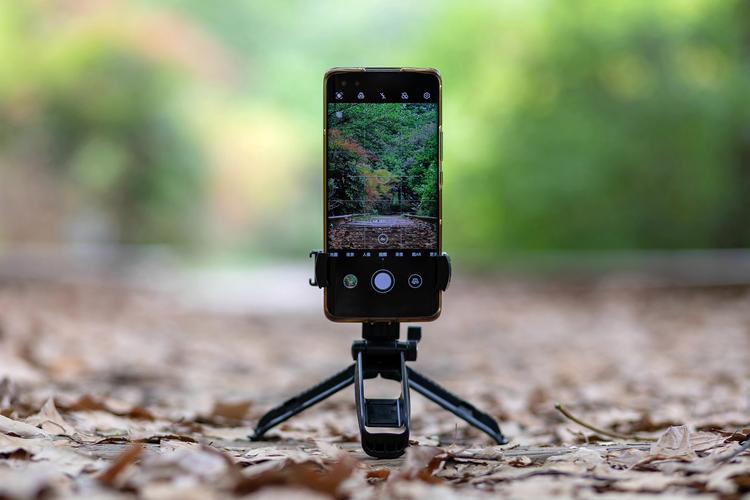 什么手机拍照功能效果最好?