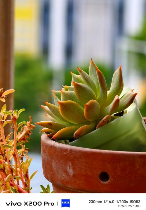 vivo哪款手机拍照效果最好?