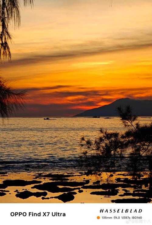 oppo哪个系列拍照最好