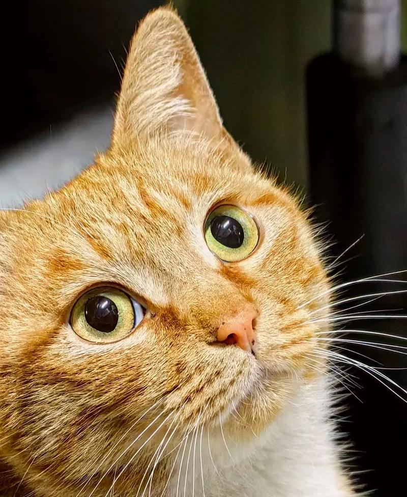 华为1500左右最好的手机