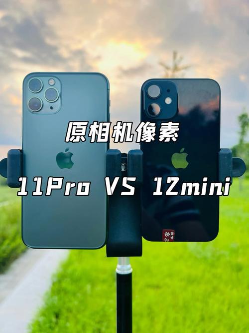 苹果iphone11和苹果iphone12对比