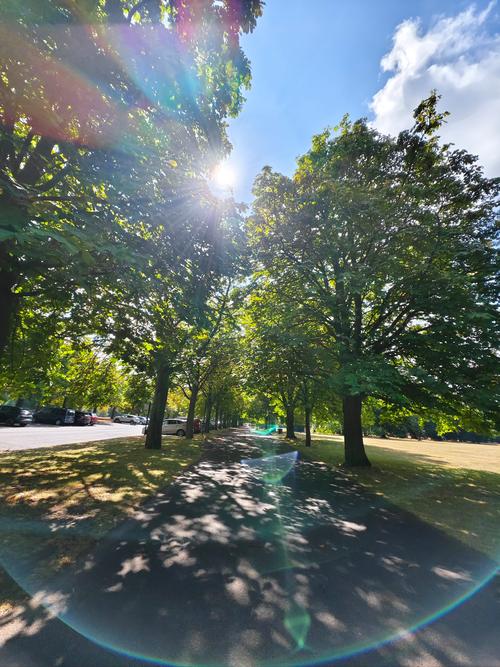 手机可以对着阳光拍照吗?