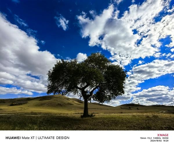 华为什么系列的最好