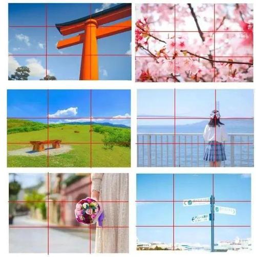 拍照九宫格构图技巧怎么用?