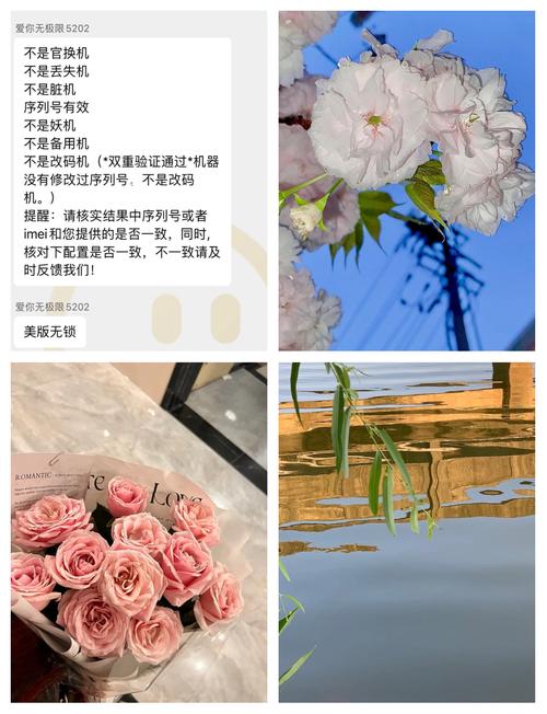 苹果Xmax拍照怎么添加机型水印