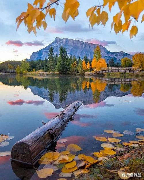 如何用手机能拍出好看的风景照片?