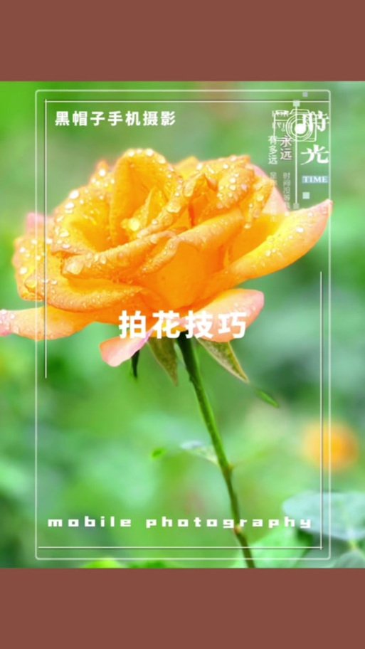 荣耀手机怎样拍花好看