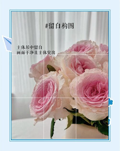 入门必学10个手机摄影技巧