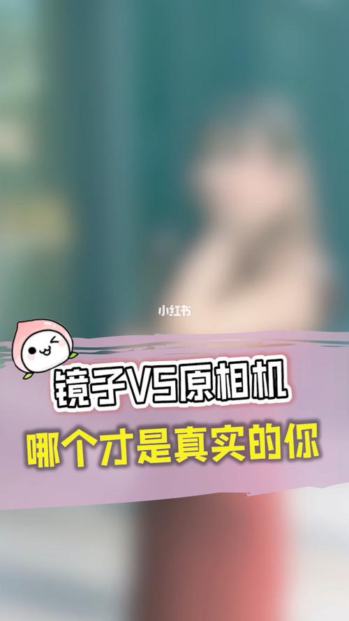 求助!镜子里和原相机里哪个才是别人眼中的自己?