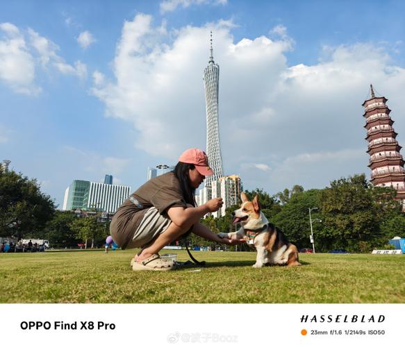 OPPO手机怎么拍照片好看