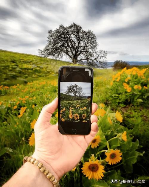 简单实用的手机摄影小技巧