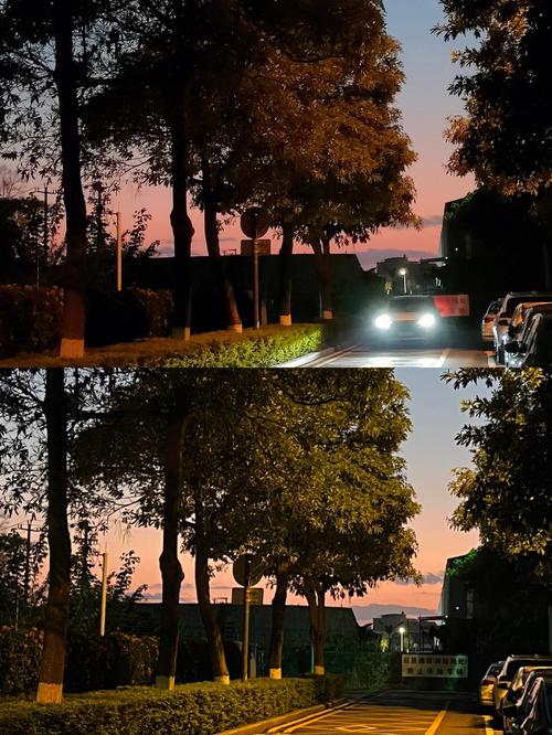 苹果手机哪款拍照效果好?