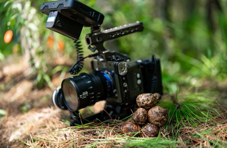 高速照相机哪家好?