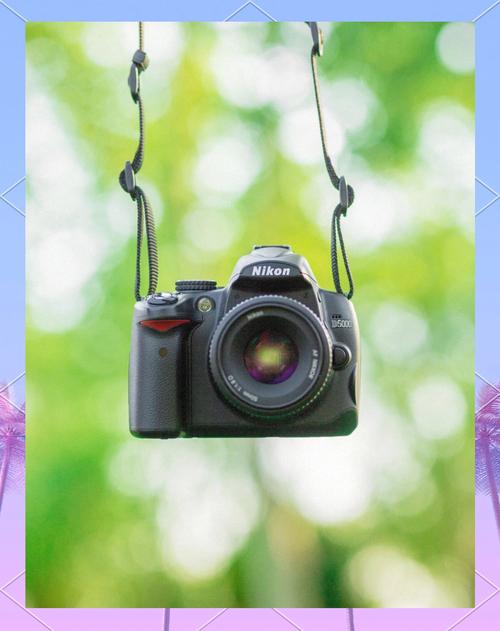 翻拍照片是什么意思?