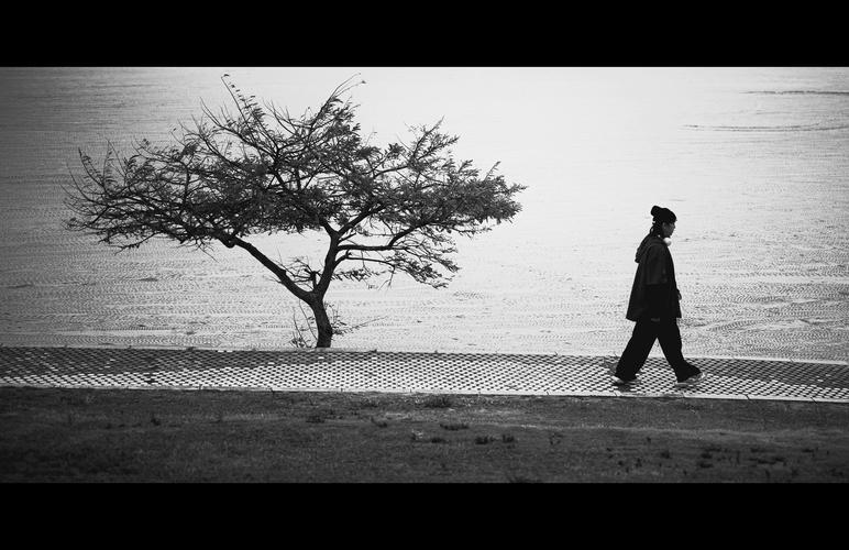 手机相机突然变成黑白