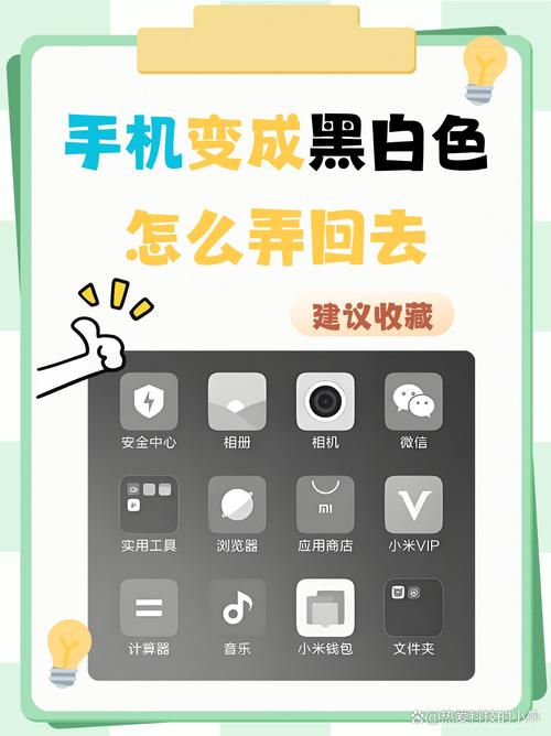 vivo手机拍照怎么成了黑白色了,怎么调回来?