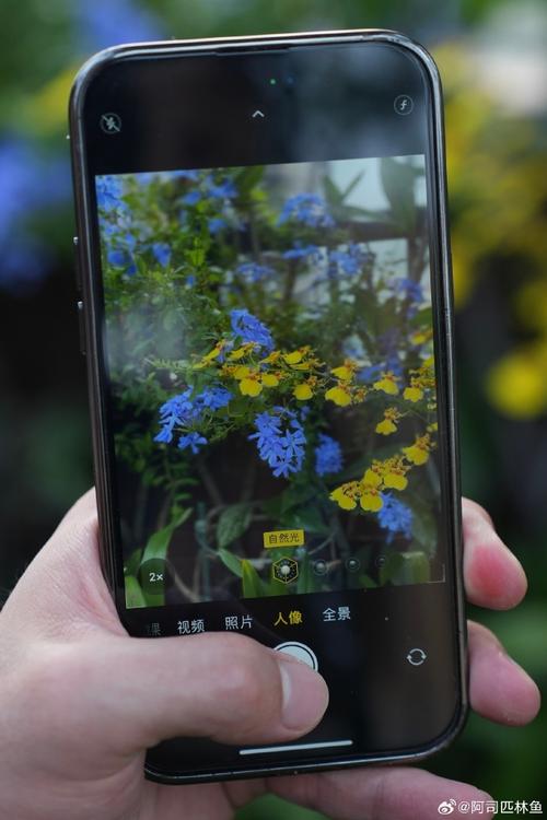 目前拍照第一名的手机品牌