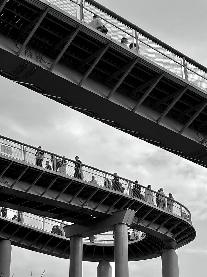 苹果手机哪款照相最好