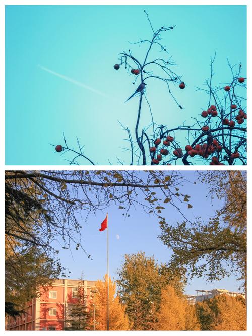 2023公认最好拍照手机