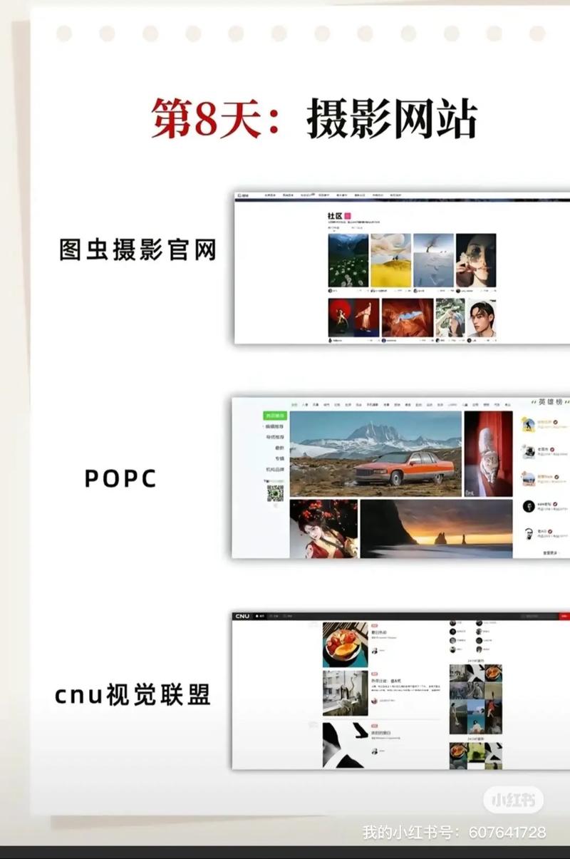 摄影机大学生推荐哪个网站