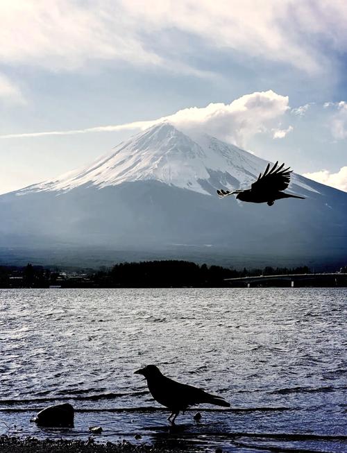 用手机怎么拍摄人物